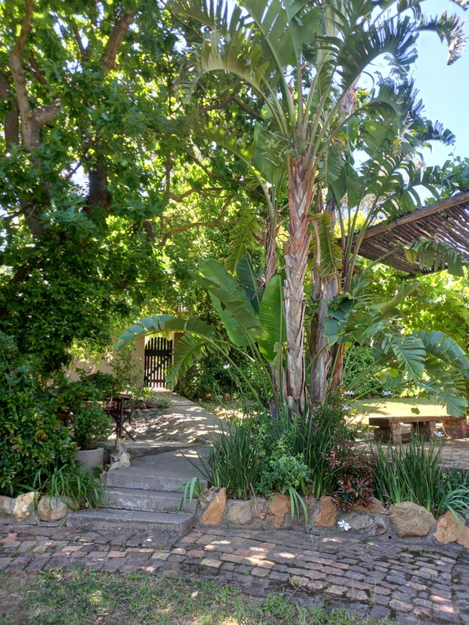 Porcupine Hills Olive And Guest Farm Βίλα Botrivier Εξωτερικό φωτογραφία